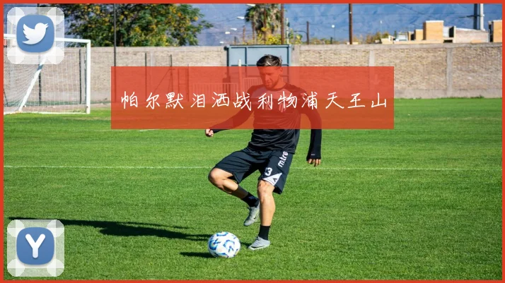 帕尔默泪洒战利物浦天王山