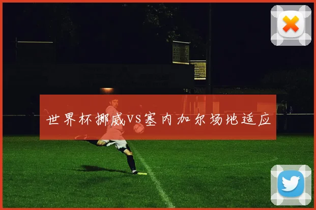 世界杯挪威vs塞内加尔场地适应