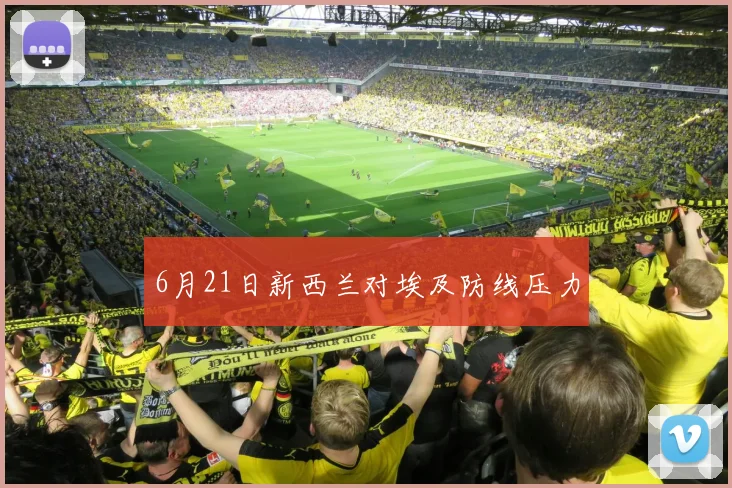 6月21日新西兰对埃及防线压力