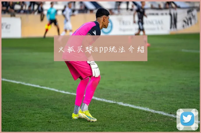火狐买球app玩法介绍